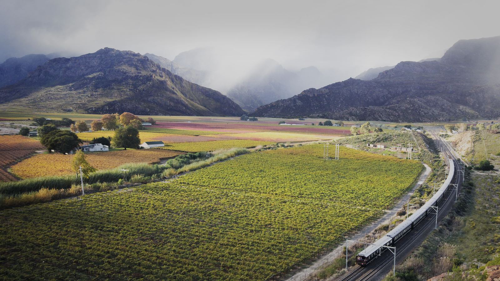 Rovos Rail through Hex River Valley — vinmarker og bjerge vest for Kapstaden